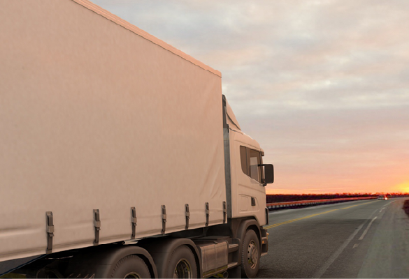 Interstate Removals